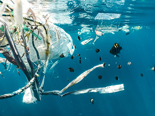 Global researchers gather to tackle plastic pollution in South East Asia 