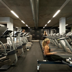 New gym to feed exercise cravings