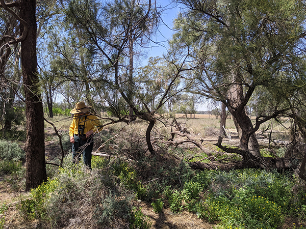 Funding now available to assist Queensland’s nature refuge landholders