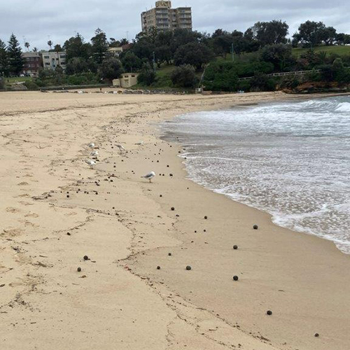 Sydney’s Coogee Beach closed after contamination from suspected ‘tar balls’