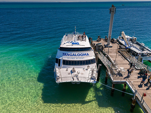 Moreton Island’s Tangalooma Island Resort launches revitalised reef boat