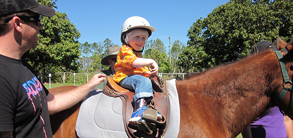 Queensland equine operators and retired racehorses benefit from QOTT Grants Program