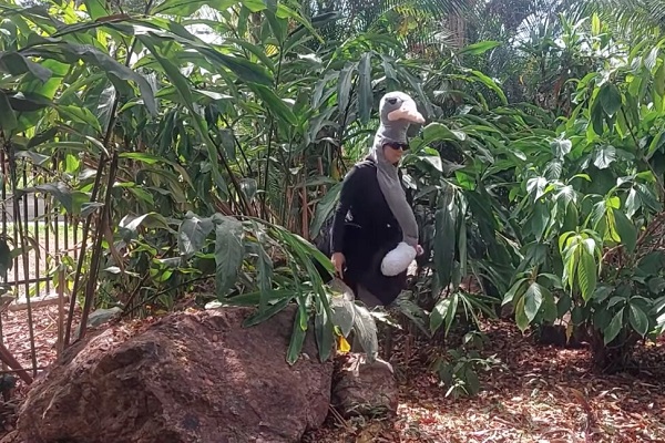 Rockhampton Zoo conducts ‘live’ animal escape drill