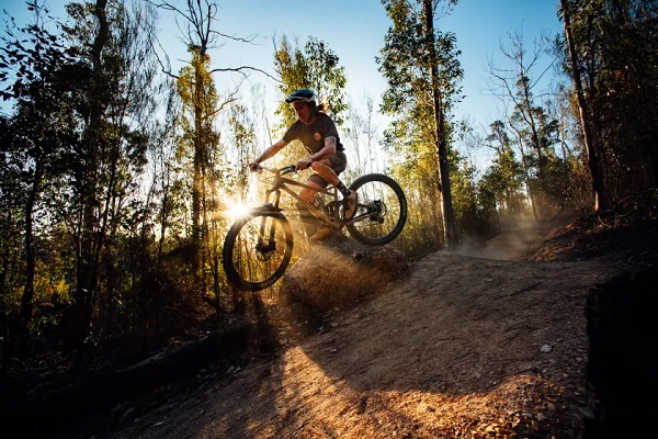 Global Sea Otter mountain bike festival to be held on NSW South Coast