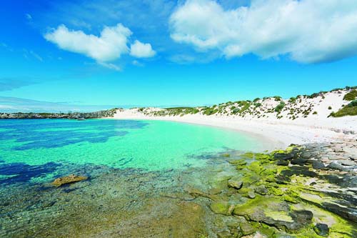 Rottnest Island celebrates a century of tourism - Australasian Leisure ...