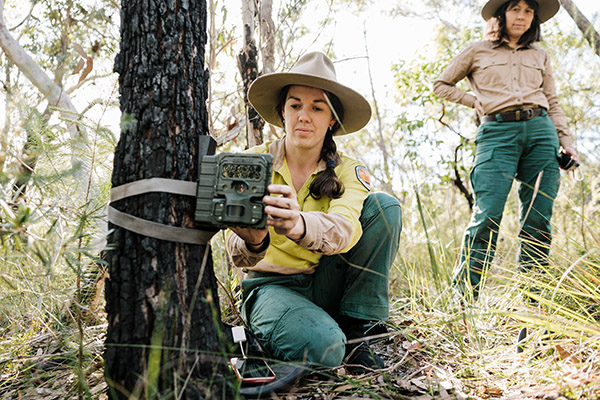 Australia’s oldest National Park receives its first health scorecard 