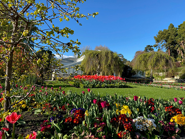 New amenities to enhance visitor experience at Royal Tasmanian Botanical Gardens