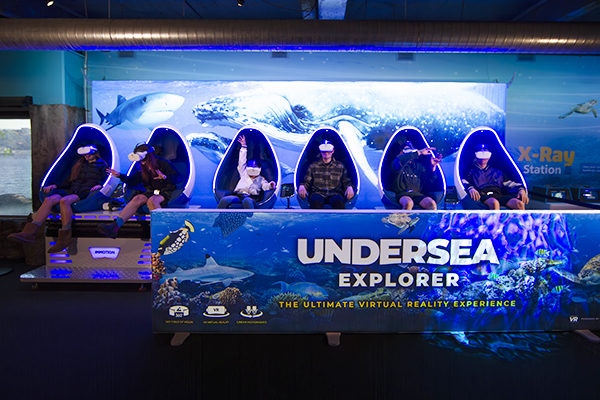 Virtual reality pods installed at SEA LIFE Kelly Tarlton’s