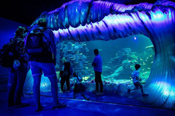 SEA LIFE Sydney Aquarium reopens ‘Day and Night on the Reef’ experience