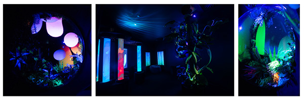 SEA LIFE Sydney Aquarium Sensory Room elevates Visitor Experience