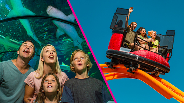 SEA LIFE Sunshine Coast and Aussie World launch Coast to Coaster Combo Ticket