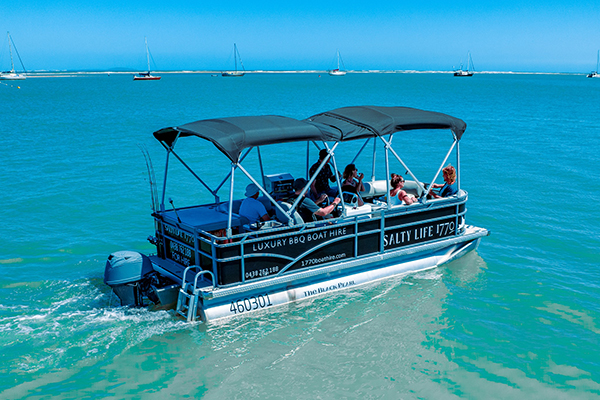 Pontoon boat experience among tourism initiatives to secure Gladstone Turtle Tank funding