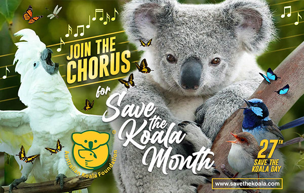 Australian Koala Foundation calls for action during September