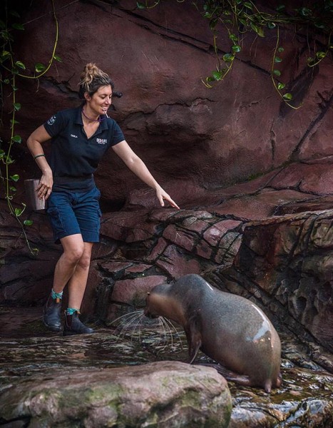 SEA LIFE Sunshine Coast Aquarium offers new interactive opportunities