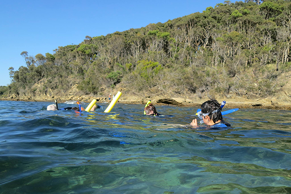 An alliance of NSW surfers, divers, recreational fishers and conservationists oppose land clearing