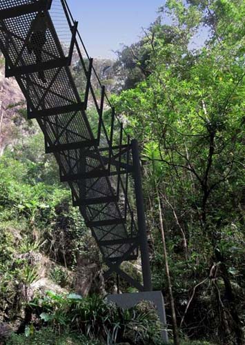 New bridge to boost Springbrook tourism