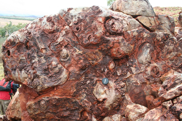 New Western Australian national park to protect world-renowned Pilbara stromatolites