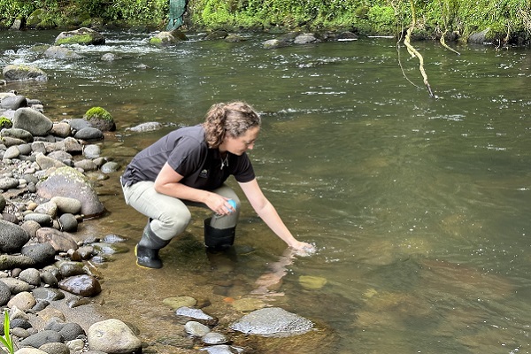 Taranaki locals urged to avoid swimming after rain