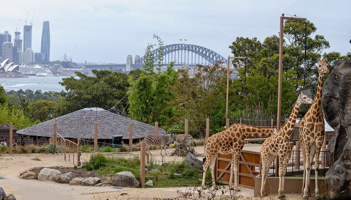 Taronga Zoo to host World Association of Zoos and Aquariums 2024 global conference