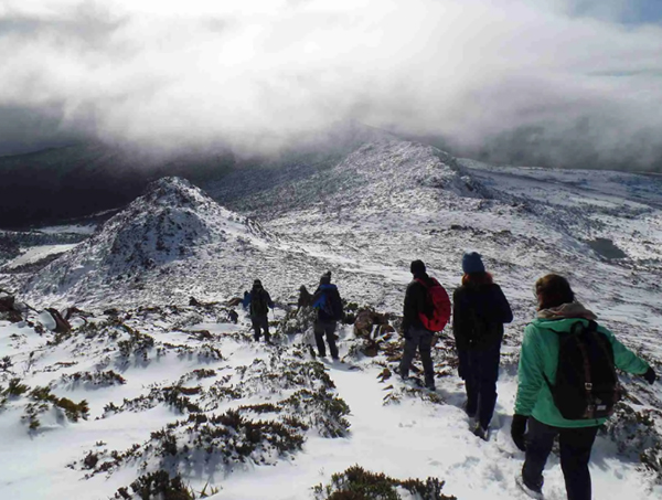 Tasmanian Government flags need for safety in parks and reserves this winter