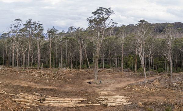 Think tank and conservationists alarmed by Tasmanian State of the Environment Report