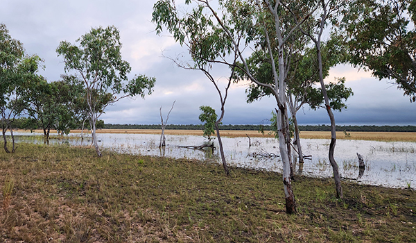 Two new national parks established and protected areas expanded in Queensland