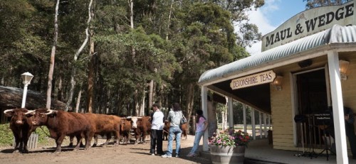 New Owners have Big Plans for Timbertown Heritage Park