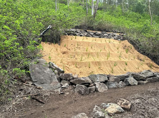 Toowoomba’s Picnic Point Firetail and Fantail Walks re-open following flood recovery