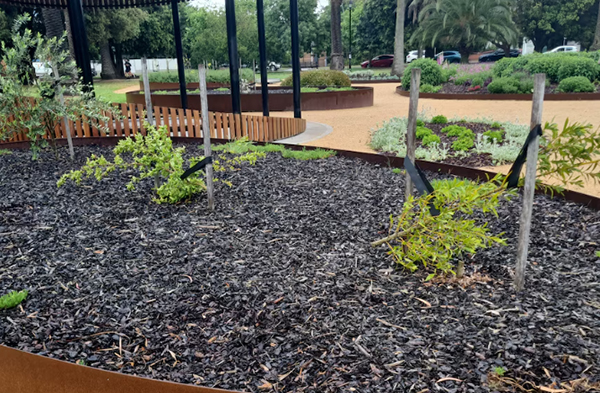 Melbourne’s south-east parks suffer from significant tree vandalism