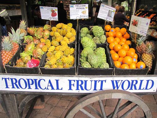 Tropical Fruit World boosted by interest in farm tourism