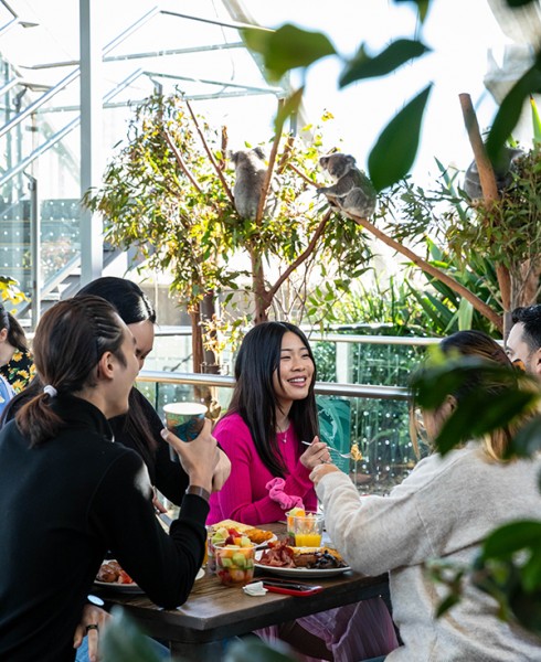 WILD LIFE Sydney Zoo relaunches Koala Breakfast experience