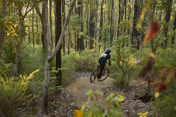 Collie now home to Western Australia’s largest mountain bike trail network