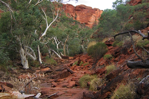 Watarrka National Park a new addition to National Heritage List