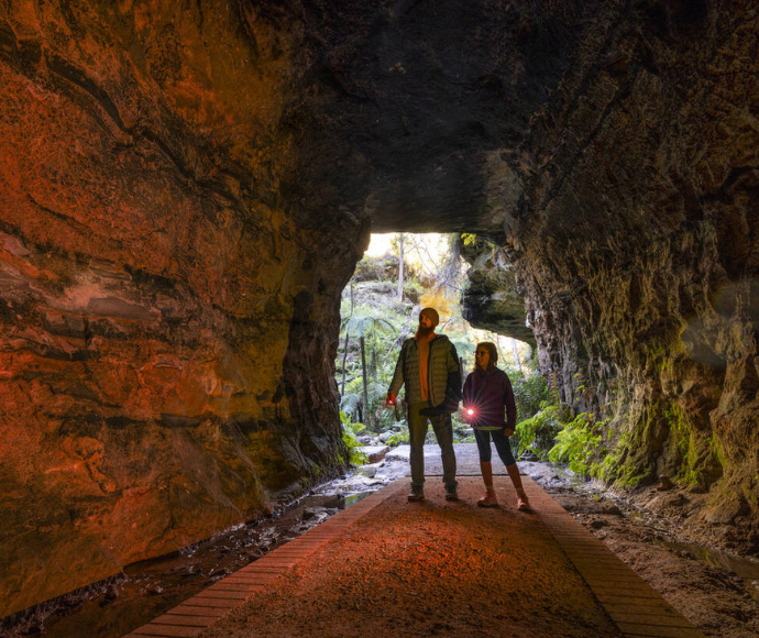 Wollemi glow worms protected during tunnel precinct $4.3 million upgrade