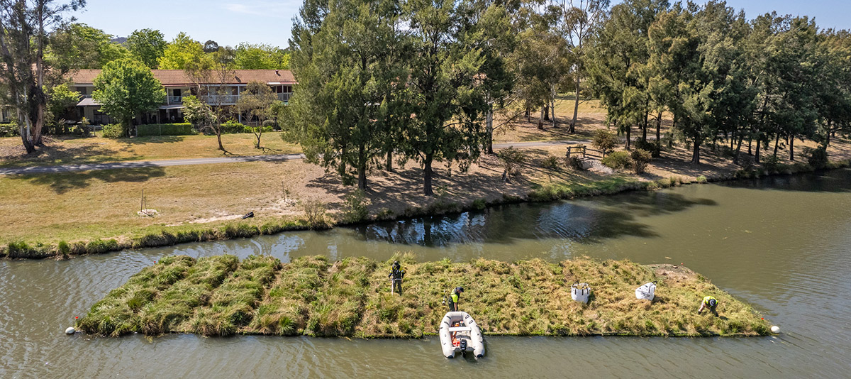 ACT becomes first Australian jurisdiction to enshrine right to healthy environment