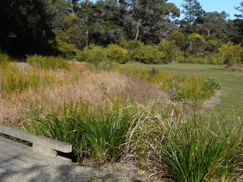 Victoria’s Barwon region councils helped to conserve water