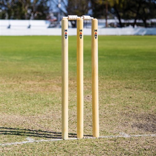 Premier cricket facility and turf wicket secured for Parramatta’s Belmore Park