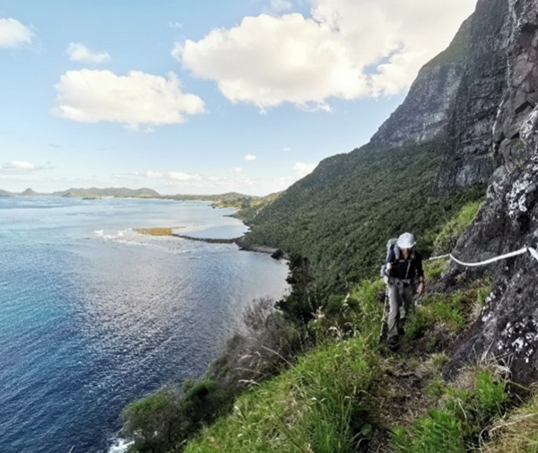 Lord Howe Island Southern walking tracks reopen