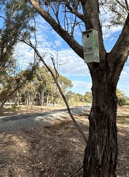 Wildlife nesting boxes installed along Waranga Rail Trail