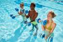 Professionals unite to strengthen aquatic fitness management