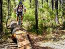 New Collie trails completed for mountain bike enthusiasts