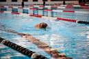 Auckland Council continues discussions on plans for new pool in the Northwest