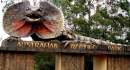 Two of Australian Reptile Park’s 23 stolen reptiles recovered