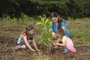 Cairns Regional Council initiative sees planting of 20,000 trees