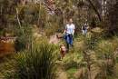 Victoria’s central west gains 65,000 hectares off new National Parks and Reserves