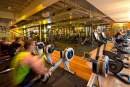 ExerciseNZ cites growing evidence gyms and fitness clubs are safe