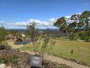 Maleny Botanic Gardens launches new Indigenous educational experience