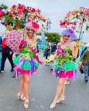 Successful Garden Expo highlights Sunshine Coast’s reputation for staging nature-based events