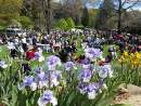 Tasmania’s Botanical Gardens planning ahead