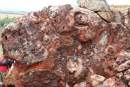 New Western Australian national park to protect world-renowned Pilbara stromatolites